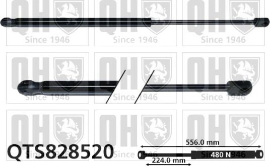 QUINTON HAZELL QTS828520 Baklukedemper