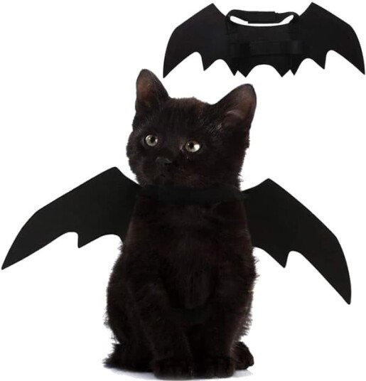 Halloween Flaggermusvinger til Hund og Katt