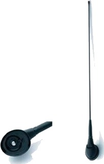 Antenne Am/Fm Oem Alfa/Fiat/Lancia Passiv