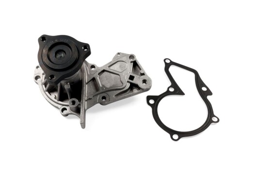 HEPU P269 Vannpumpe