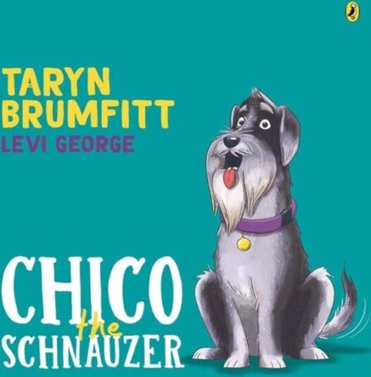 Chico the Schnauzer Chico the Schnauzer