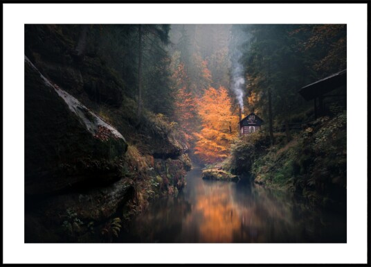 Misty Autumn Cabin Plakat / 40x50