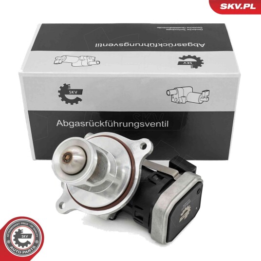 EGR Ventil ESEN SKV 14SKV272