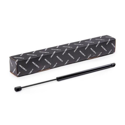 Baklukedemper RIDEX 219G1068