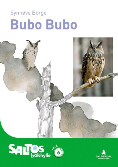 Bubo Bubo Av Synnøve Borge