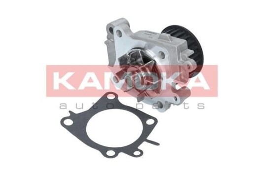 KAMOKA T0206 Vannpumpe