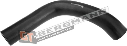 GT BERGMANN GT52 294 Ladeluftslange