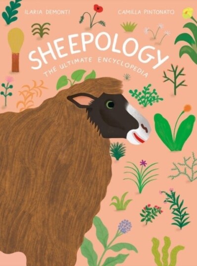Sheepology Sheepology
