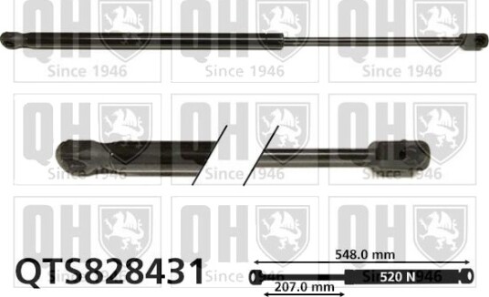 QUINTON HAZELL QTS828431 Baklukedemper