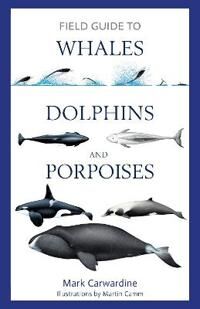 Carwardine Mark Field Guide to Whales Dolphins and Porpoises Carwardine Mark Field Guide to Whales Dolphins and Porpoises