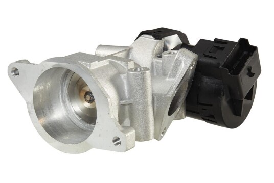 EGR Ventil HELLA 6NU 010 171-671