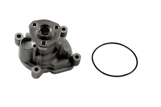 HEPU P573 Vannpumpe HEPU P573 Vannpumpe