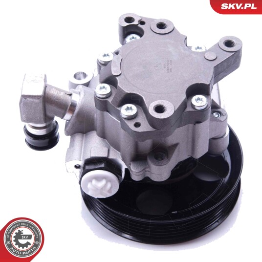 Servopumpe ESEN SKV 10SKV272