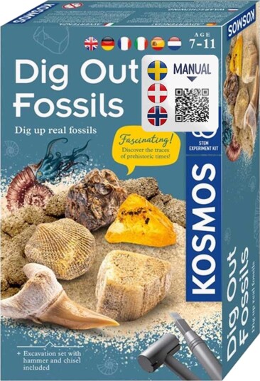 Kosmos Utgravingssett Fossiler