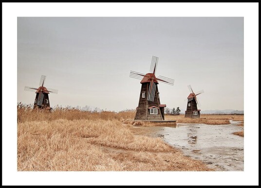 Old Windmills in the Countryside Plakat Plakat / 30x40cm