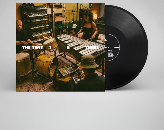 The Twit 1 Ii Three The Twit 1 Ii Three Vinyl