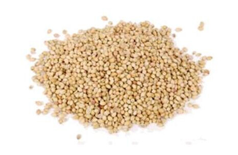 Korianderfrø 50g Korianderfrø 50g