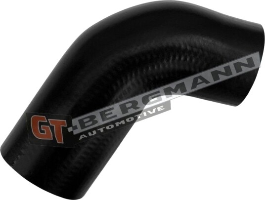 GT BERGMANN GT52 881 Ladeluftslange