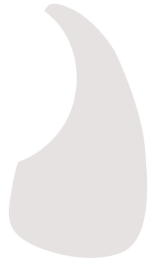 D'Andrea Acoustic Guitar Small Pickguard Clear 376B