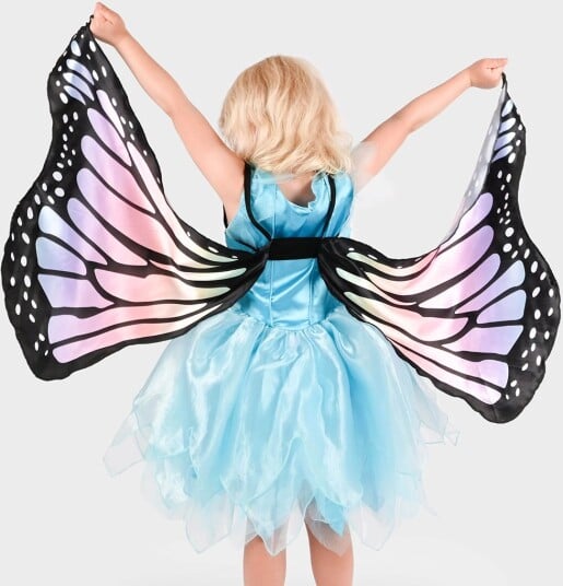 Den Goda Fen Kostymer Sommerfuglvinger Rainbow Den Goda Fen OneSize Kostymer F35353-NC
