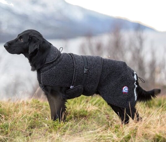 Canelana Ambassadør XL Ulldekken for Hund 64 cm