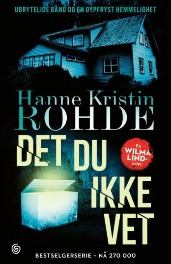 Det Du Ikke Vet Av Hanne Kristin Rohde