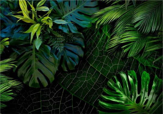 Fototapet Dark Jungle 150x105 - Artgeist sp. z o. o.