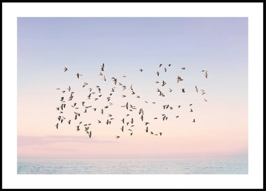 Sunset Flight Poster Plakat / 30x40cm