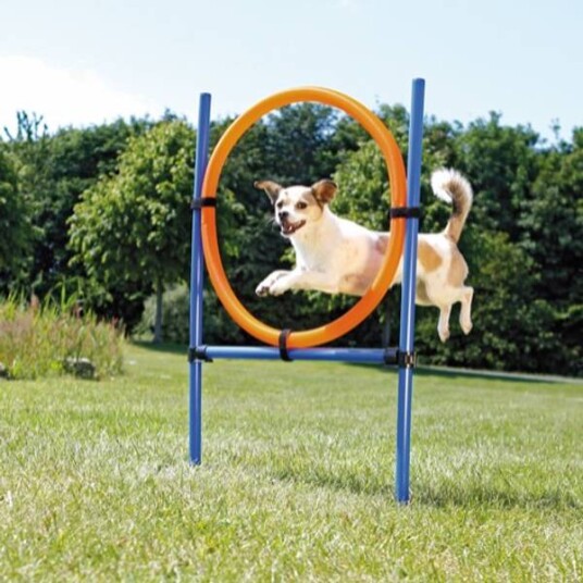 Trixie Agility Ring Hopp Hinder i Blå og Oransje - Til Hundetrening Trixie Agility Ring Hopp Hinder i Blå og Oransje - Til Hundetrening