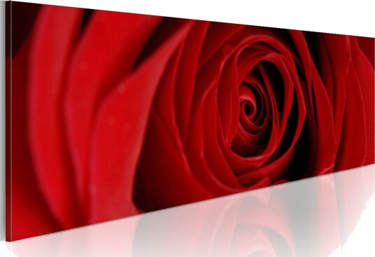 Tavla Midnight Rose 135x45 cm