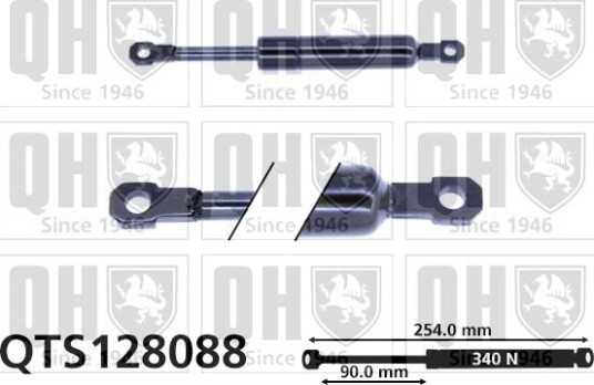 QUINTON HAZELL QTS128088 Baklukedemper