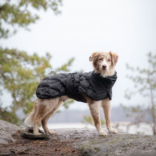 Feel Active Haga Parka Svart (50 cm)