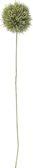 Bloomingville Allium Stem   Green   H63CM