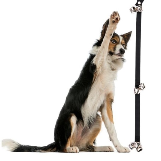 Hengende Hundeklokke Ringeklokke Til Dør