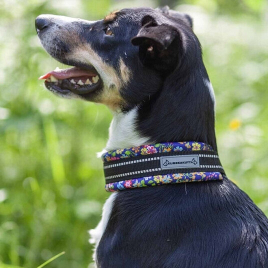 Kusse & Kutta Kusse&Kutta Hundehalsband Lycra Bred Modell Blomster (8)