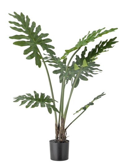 Bloomingville Philodendron Plant Green Ø 13 cm