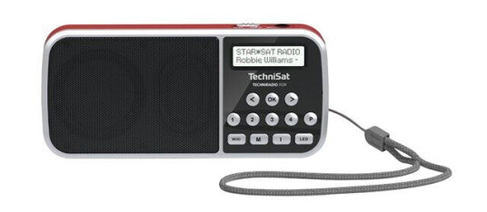 TechniSat Bærbar DAB-radio TechniRadio RDR - DAB portable radio - Mono - Grå