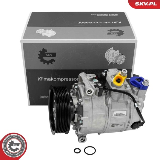 AC-kompressor ESEN SKV 84SKV176