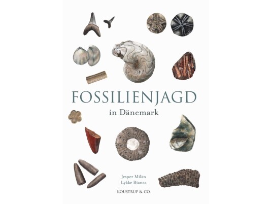 Fossilienjagd In Dänemark | Jesper Milan | Språk: Ger