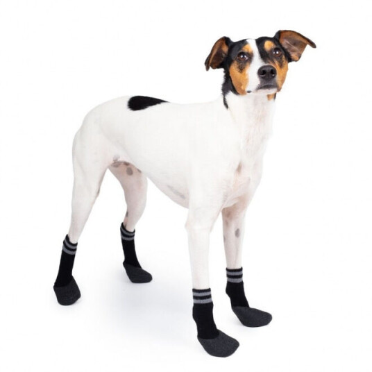 Basic Paws Potesokker 4Pcs Sort (3)