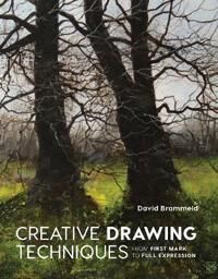Creative Drawing Techniques Av David Brammeld