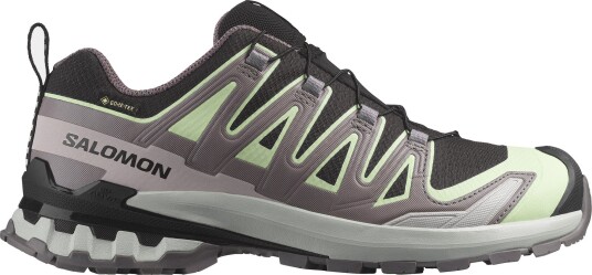 Salomon Women"s Xa Pro 3d V9 Gore tex Black/patina Green/gray Violet 4
