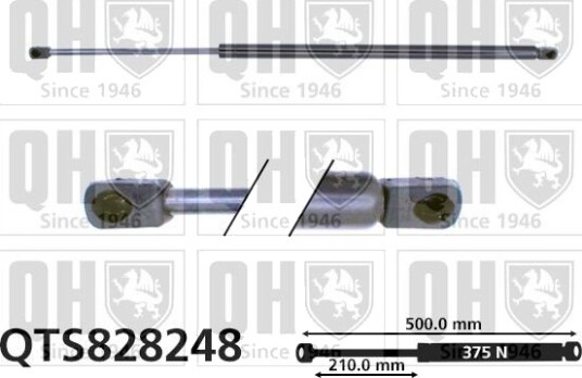 QUINTON HAZELL QTS828248 Baklukedemper