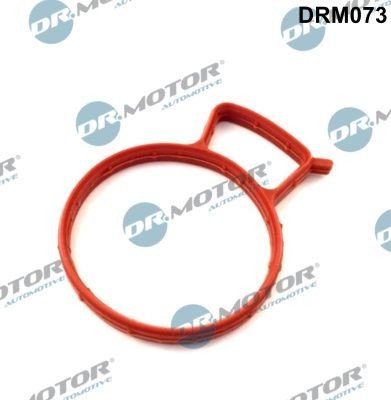 Tetning innsugningsmanifold Dr.Motor Automotive DRM073