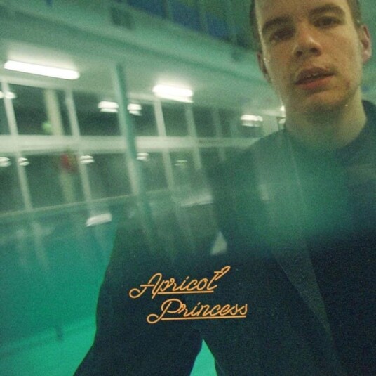 Rex Orange County  Apricot Princess  LP/Vinyl