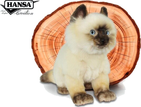 Hansa Creation | Ragdoll Cat Sitting | Hvit | 35 cm Hansa Creation | Ragdoll Cat Sitting | Hvit | 35 cm