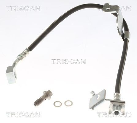 Bremseslange TRISCAN 8150 81008