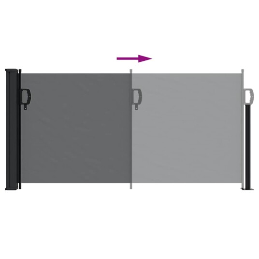 Uttrekkbar sidemarkise svart 100x500 cm 4004384