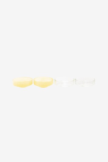 Brut Homeware Skål Claude 4 pk Transparent Brut Homeware Skål Claude 4 pk Transparent