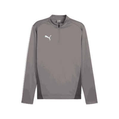 Puma teamGOAL Training 1/4 Zip Top, treningsgenser, herre Grey 3XL